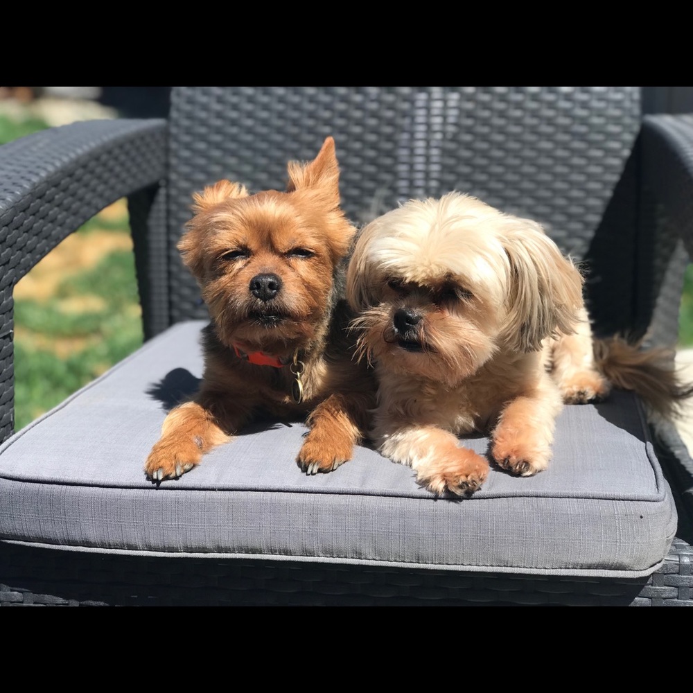 Meet your Posher, Hannah